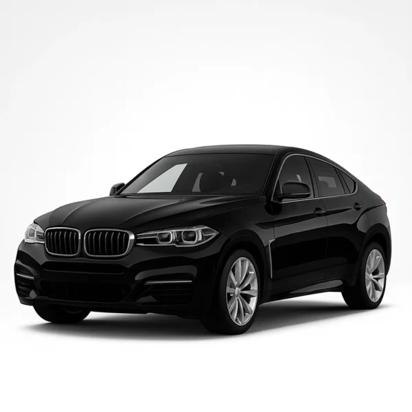Mileage Blocker for BMW X6 F16 BMW X6 F16 Mileage Blocker
