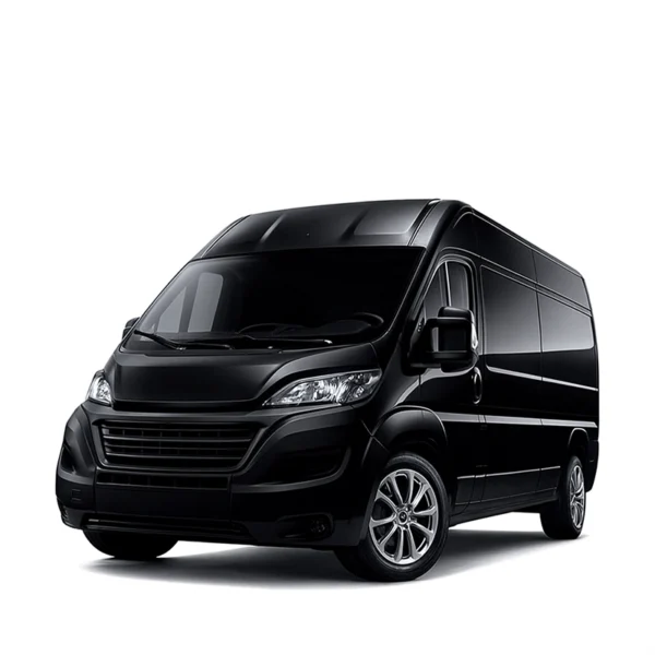 Mileage Blocker for FIAT DUCATO - 2 FIAT DUCATO Mileage Blocker
