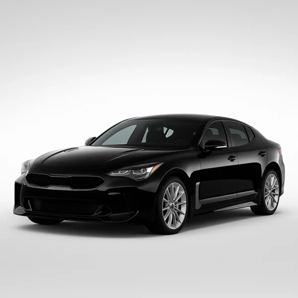 Mileage Blocker for KIA STINGER KIA STINGER Mileage Blocker