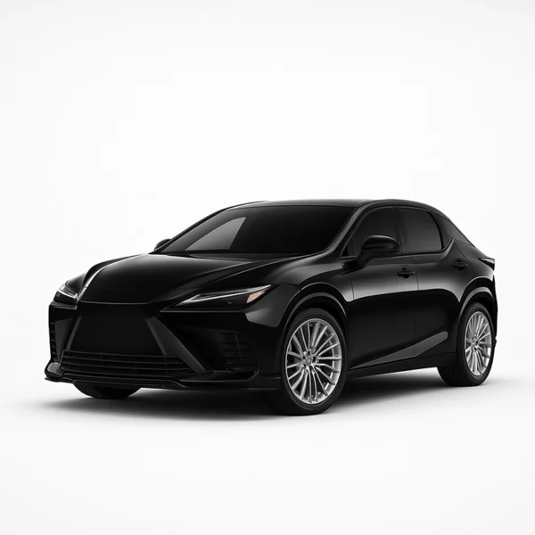 Mileage Blocker for Lexus RZ Lexus RZ Mileage Blocker