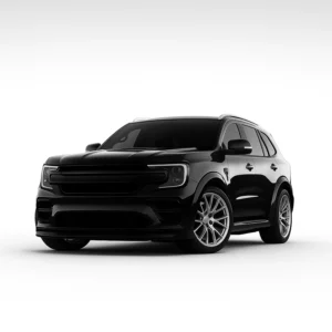 Ford Everest (3rd GEN.) Hız Göstergesi Kalibrasyon Cihazı