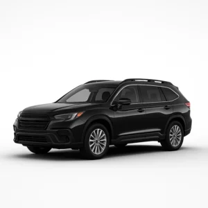 SUBARU Ascent Hız Göstergesi Kalibrasyon Cihazı