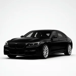 BMW 6ER F12/F13 Hız Göstergesi Kalibrasyon Cihazı